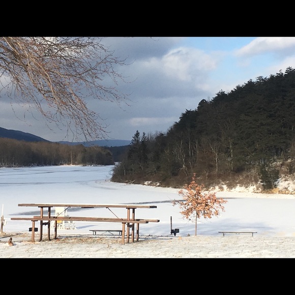 Meet your Posher, Shaz - Picture 2 of 2